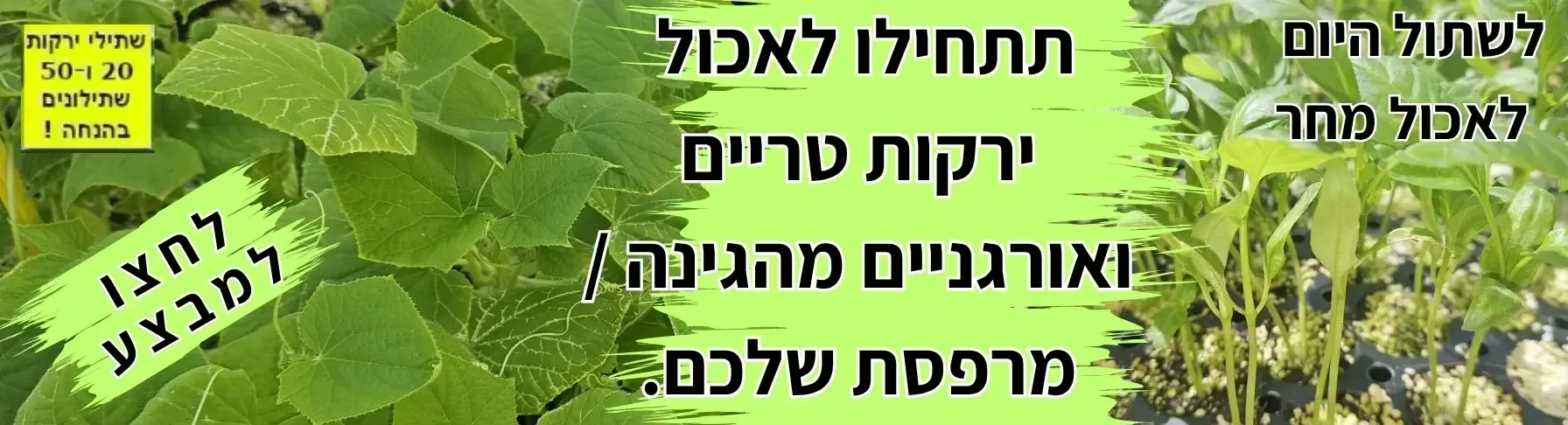 שתילי ירקות לעונה במבצע מגידול אורגני לחץ כאן | קל שתיל