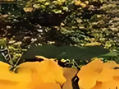 דק-פרי ערמוני `הגר`