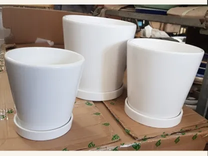 עציצי קרמיקה בצבע לבן חלק  עם תחתית W102