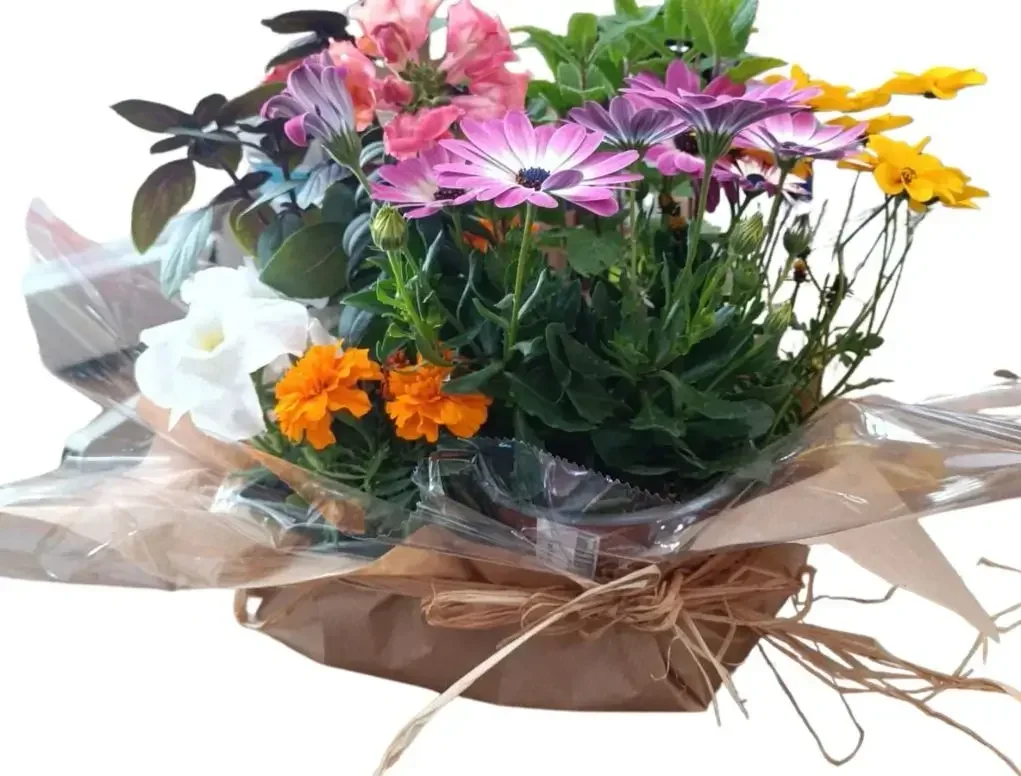 קוקטיל עונתי תבלינים ופריחה למרכז שולחן