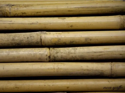 גדר 2 מ' גובה מושחל 14-16 אורך 5