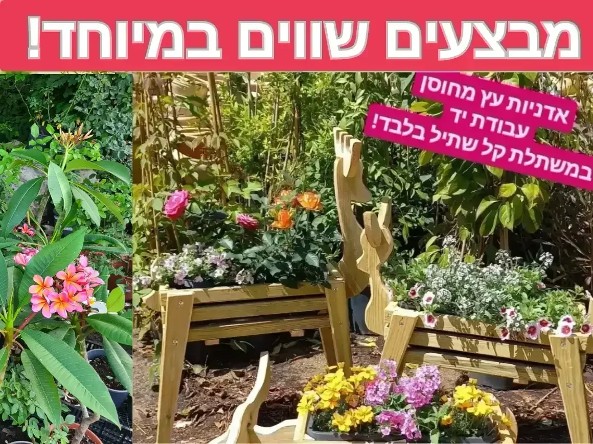 מבצעים שווים במיוחד באתר!