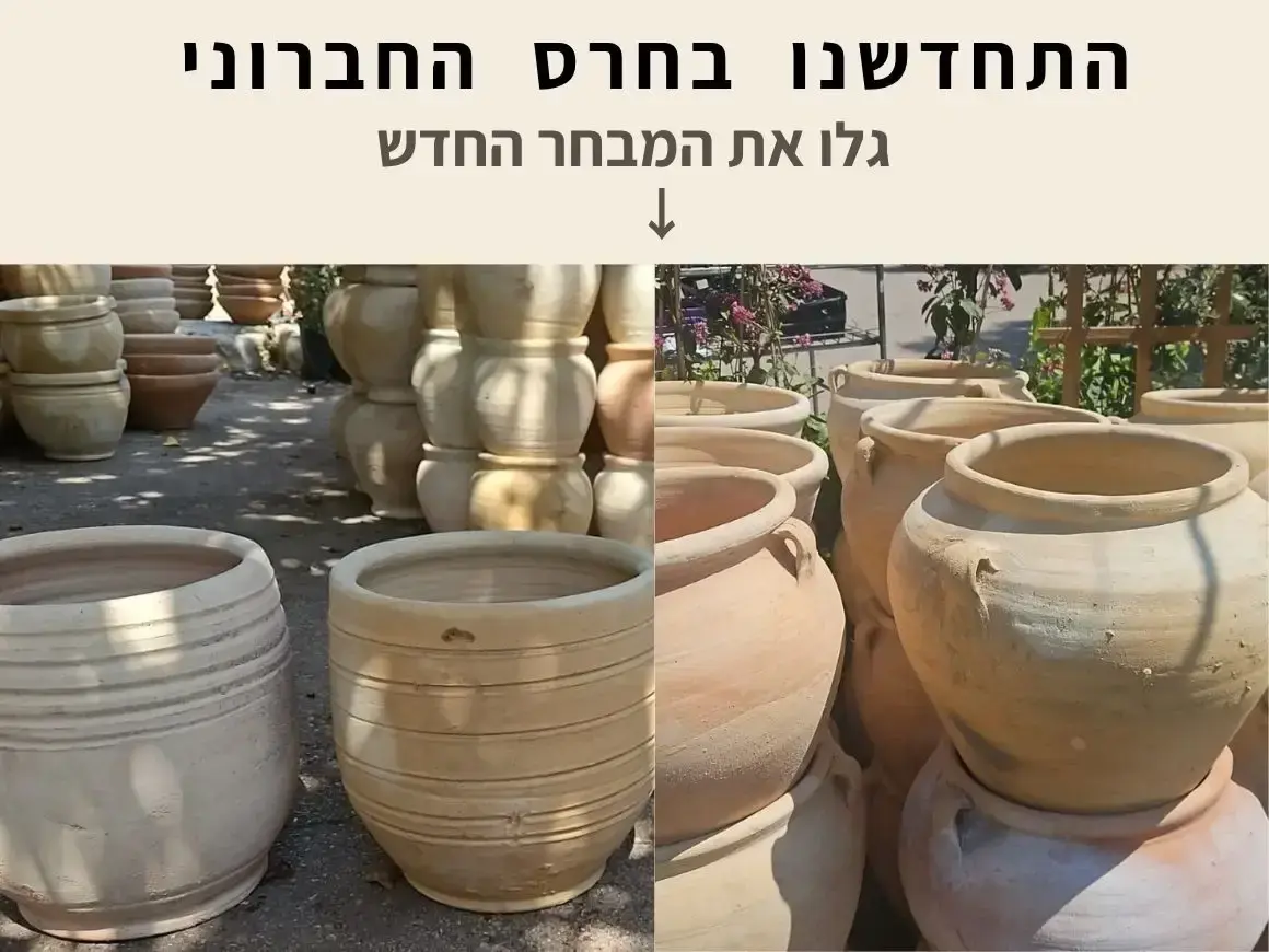 התחדשנו בכלי חרס לשתילה ולנוי