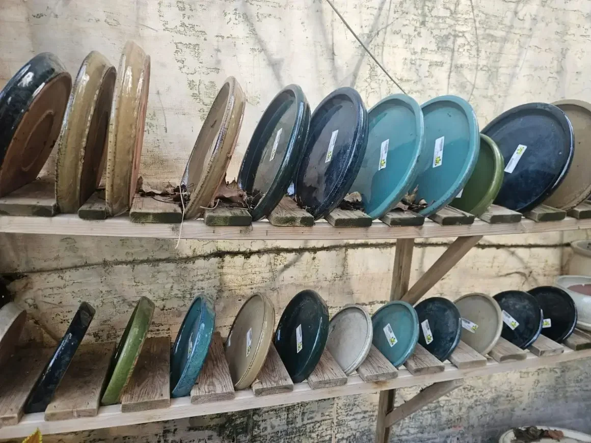 תחתיות לעציץ בגלזורה בשלל צבעים – 4 גדלים לבחירה