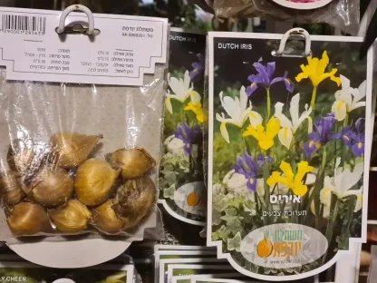 פקעות איריס שלל-צבעים