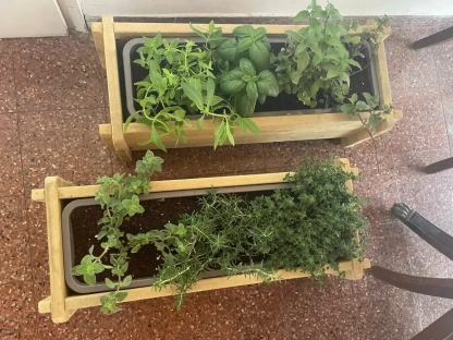 אדנית 60 תבלינים