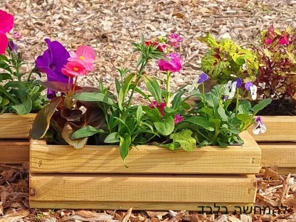 אדנית עץ קטנה עם 2 כוסיות פורחים עונתיות וכוסית רב-עונתית ניתן לבקש את עטיפת המארז