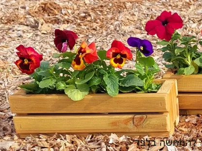 אדנית עץ קטנה עם 3 כוסיות פורחים עונתיים של סגל אמנון ותמר