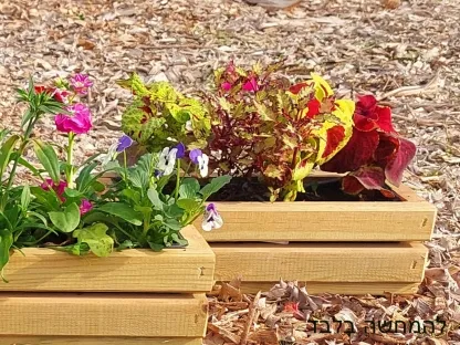 אדנית עץ קטנה עם 3 כוסיות רב-עונתיים עם עלווה מגוונת