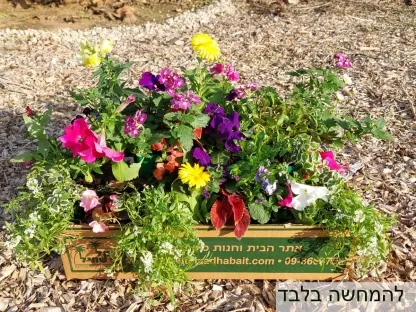 סל פורח לעונה זו עשוי 24 עונתיים ועשרה רב-עונתיים בכוסיות