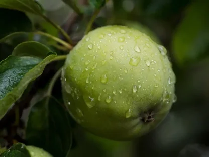 תפוח סמית ירוק