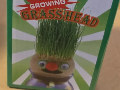 ראש דשא לילדים