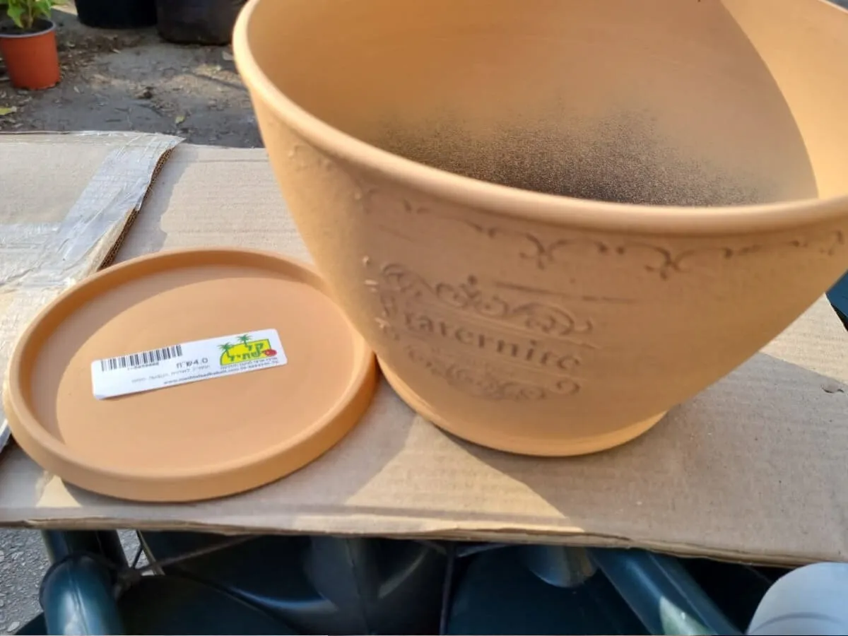 תחתית לקערה מעוטרת אפרסק