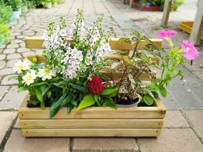 ארגז עץ מעוצב גדר לטו באב פורח וססגוני