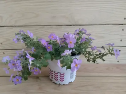 בקופה (סגול)