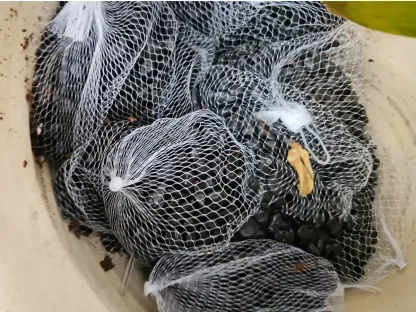 חלוקי נחל שחורים לקישוט