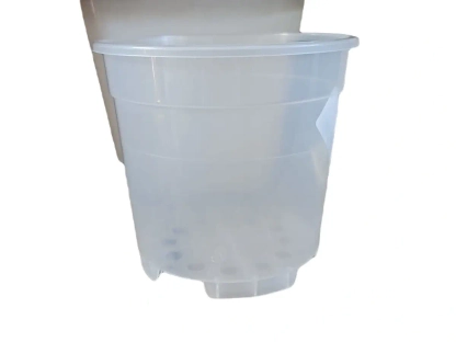 עציץ צילינדר שקוף לסחלב 015