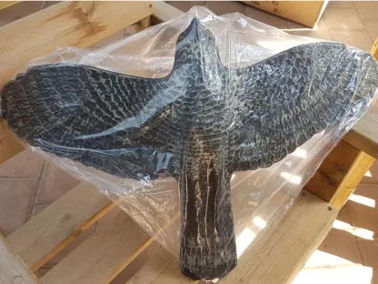 נץ שחור פורש כנפים מעוטרות