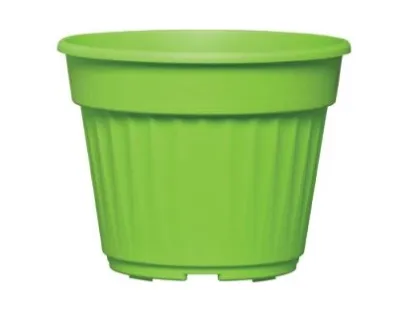 עציץ נרקיס 026 ירוק בהיר ללא תחתית