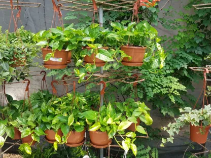 פותוס זהוב בקערת תליה