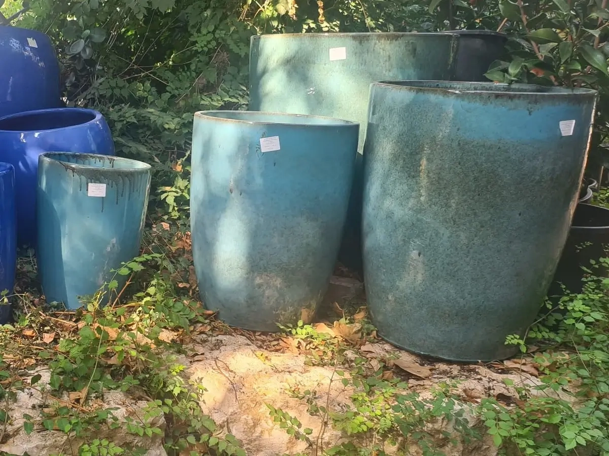 עציץ גלזורה מבריק בטורקיז נקוב, כבד גבוה ויחסית צר לשתילה,