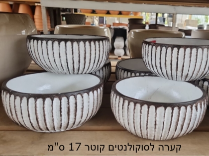 קערת סוקולנטים 17 ס"מ קוטר