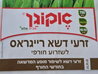 רייגראס של אקוגן לשזרוע חורפי