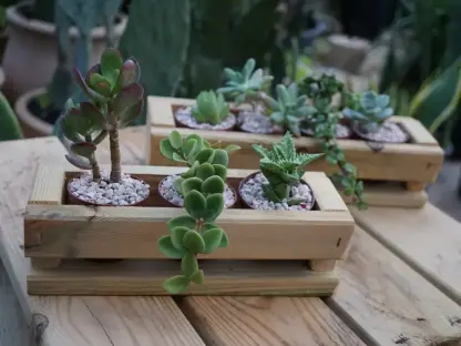 אדנית עץ מתוצרת עצמית ובה מיקס של 3 סוקולנטים כל אחד בעציצון בקוטר 5 ס"מ