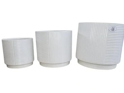 עציץ קרמיקה לבן בטקסטורת פסים, שלושה גדלים