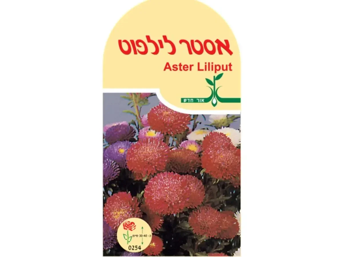 זרעי אסטר ליליפוט – חפיסת זרעים לשתילה