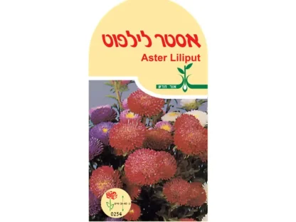 זרעי אסטר ליליפוט – חפיסת זרעים לשתילה