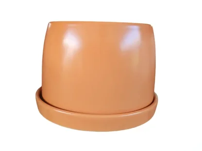 ע. מתרחב אפרסק מט עם תחתית