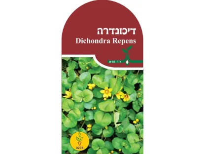 זרעי דיכונדרה זוחלת  – חפיסת זרעים לשתילה