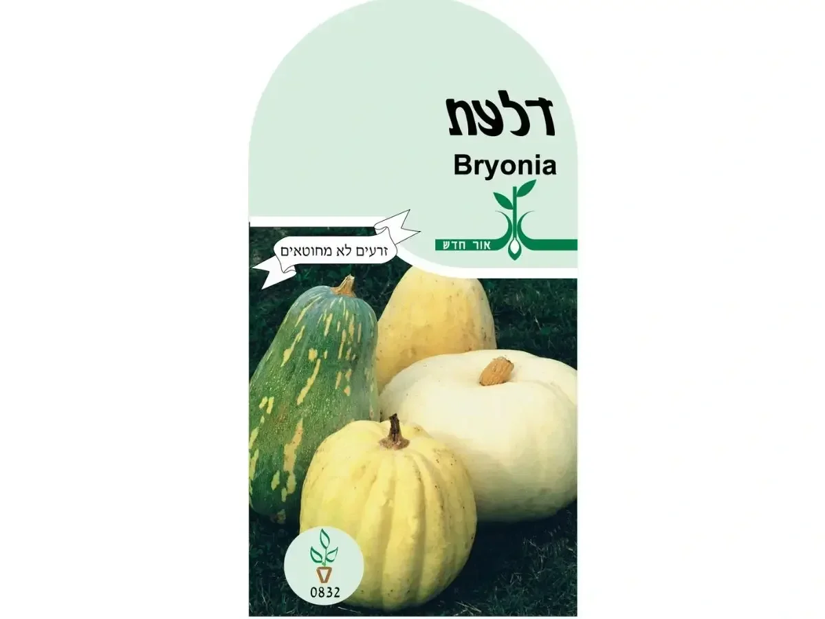 זרעי דלעת – חפיסת זרעים לשתילה