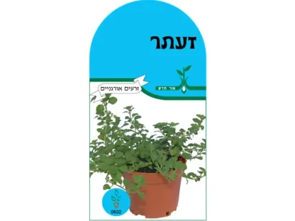 זרעי זעתר – חפיסת זרעים לשתילה