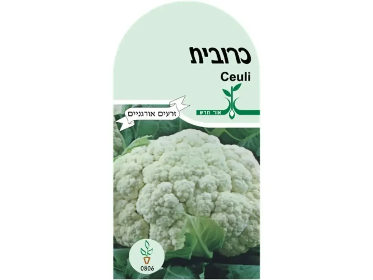 כרובית זרעים אורגנים