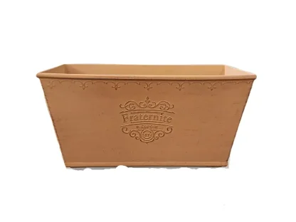 אדנית מעוטרת אפרסק