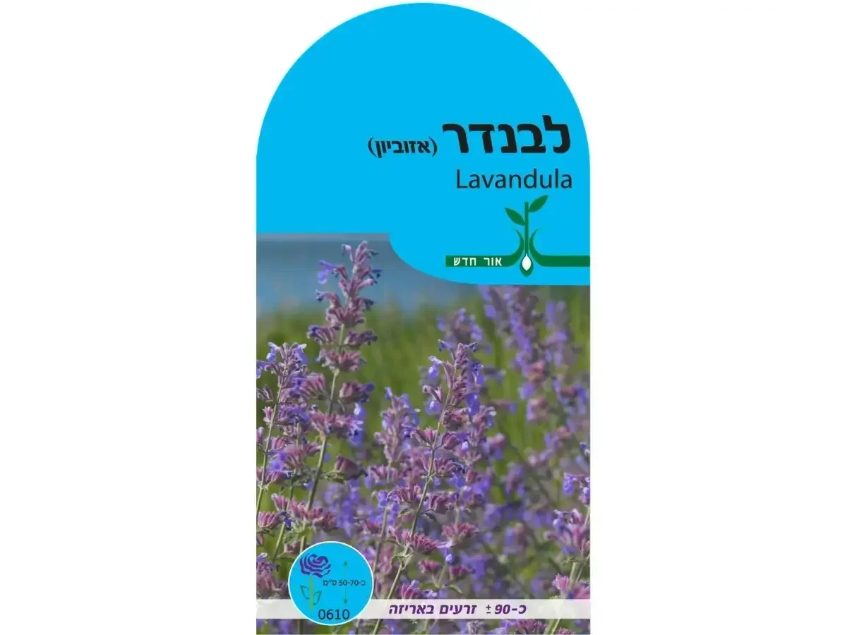 זרעי לוונדר – חפיסת זרעים לשתילה