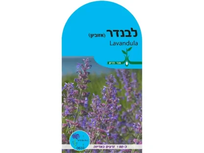 זרעי לוונדר – חפיסת זרעים לשתילה