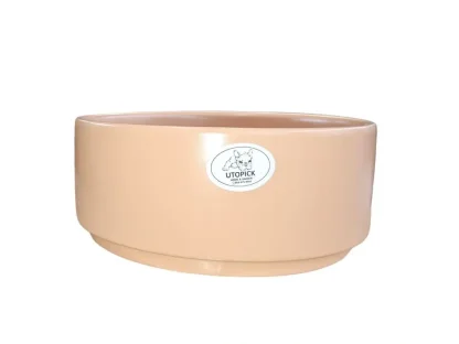 קערת קרמיקה נמוכה בצבע אפרסק לסוקולנטים