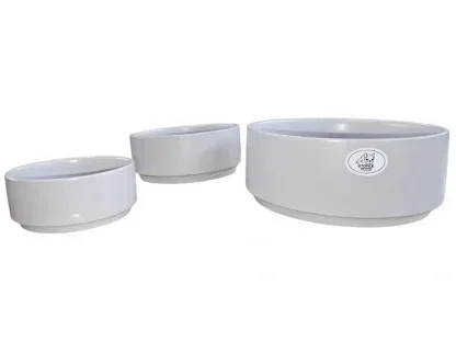 קערת קרמיקה נמוכה בצבע אפור לסוקולנטים