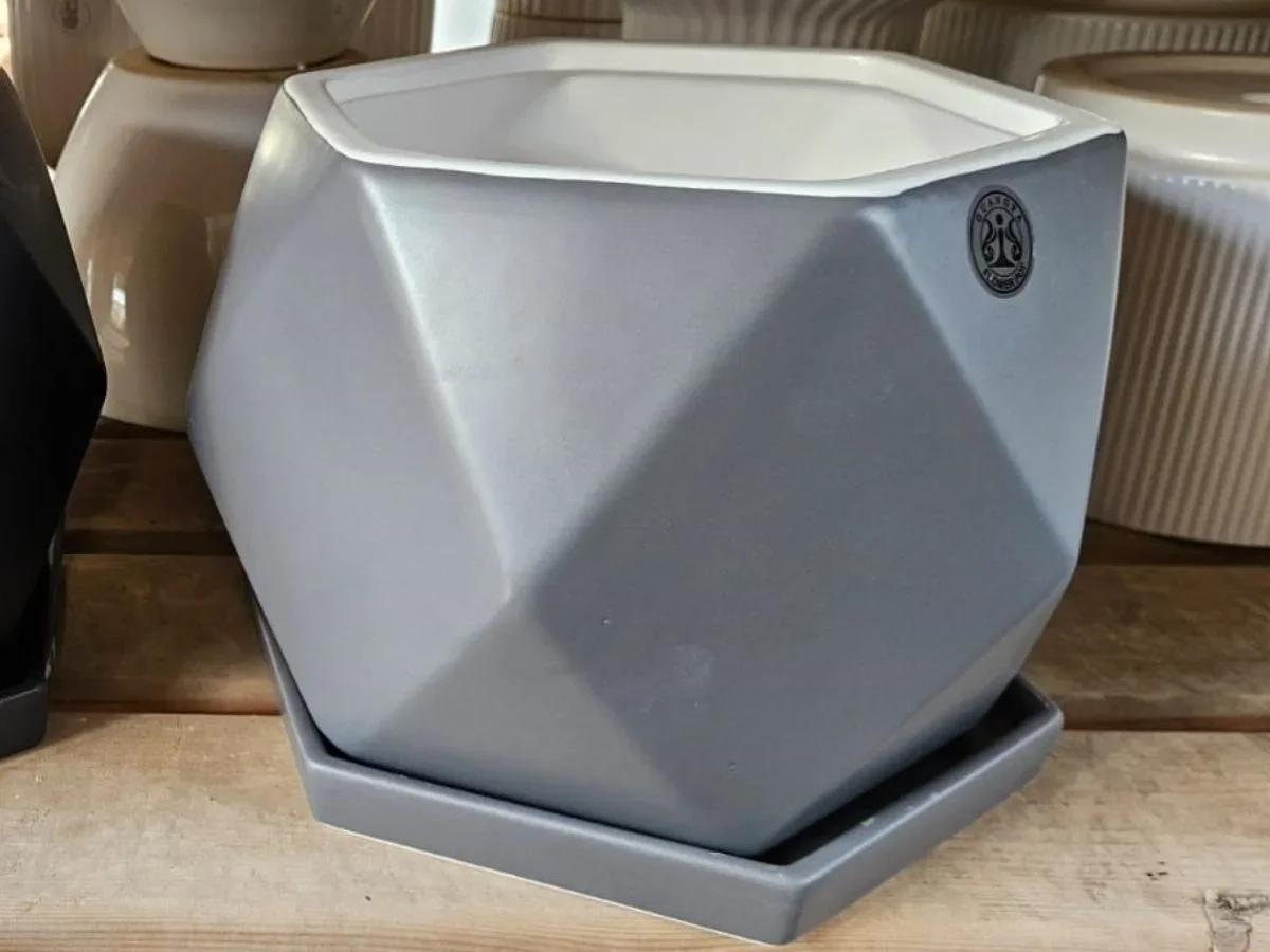 עציץ משושה אפור מט עם תחתית 18 ס״מ