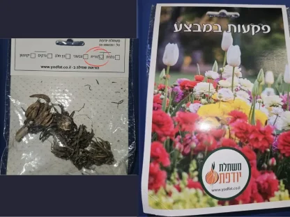 פקעות נורית במבצע שלל צבעים