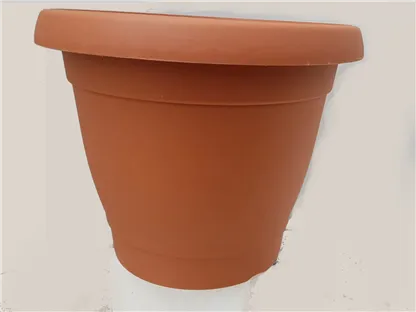 כרמל עציץ פלסטיק טרקוטה