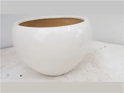 עציץ סיגון לבן