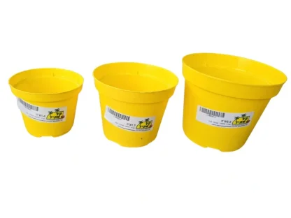 עציץ פלסטיק צבעוני 10 ס"מ – אידיאלי למתנות ושתילים