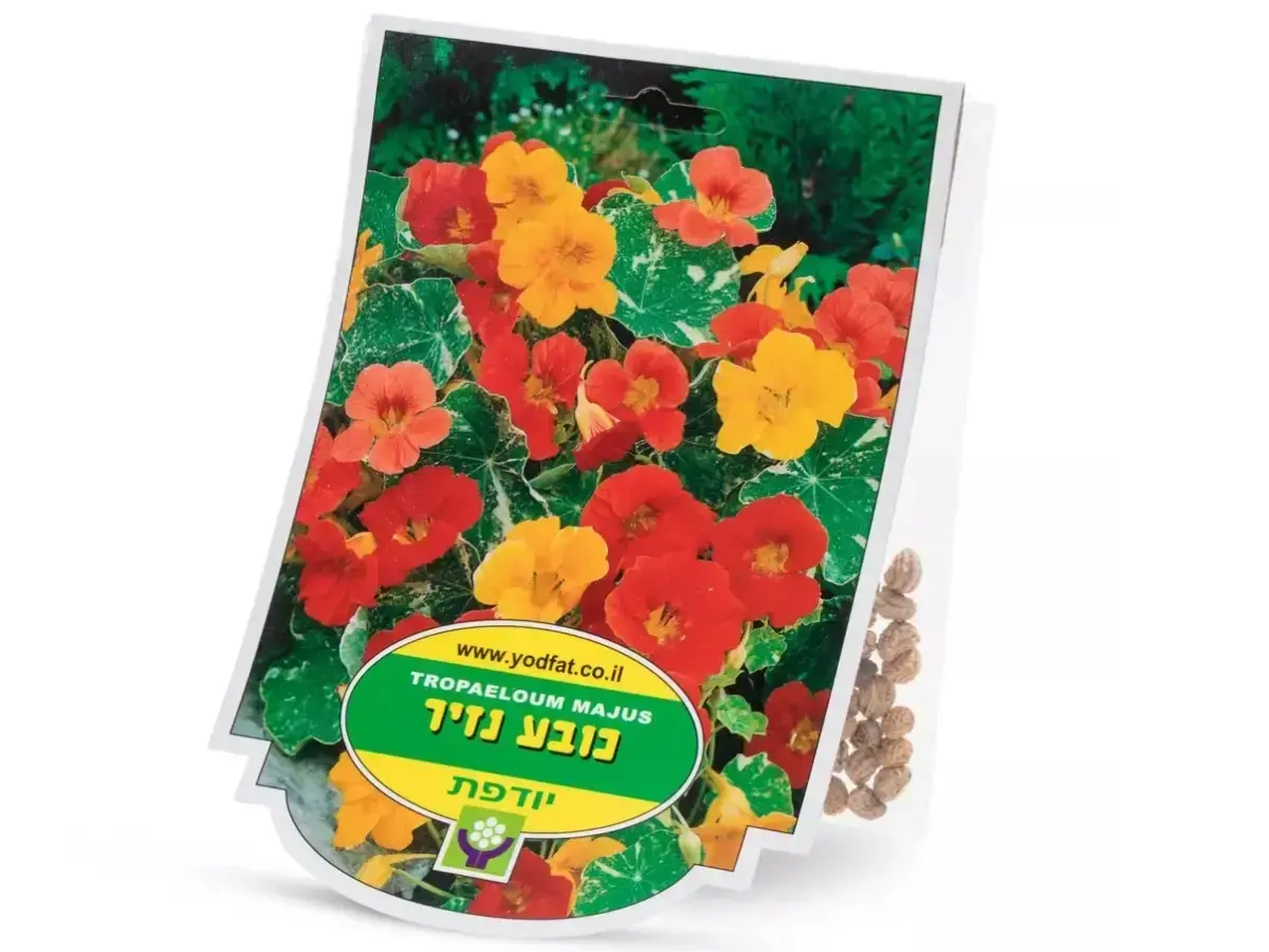 פקעות כובע נזיר תערובת צבעים