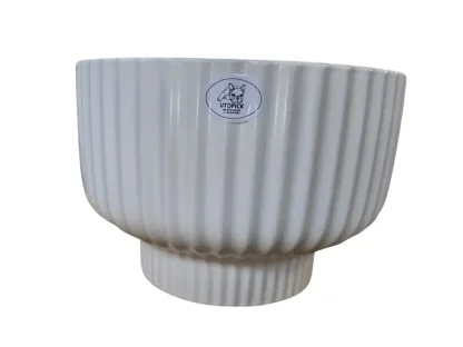 קערת גלזורה לבנה חלקה בצורת פטרייה לשתילה