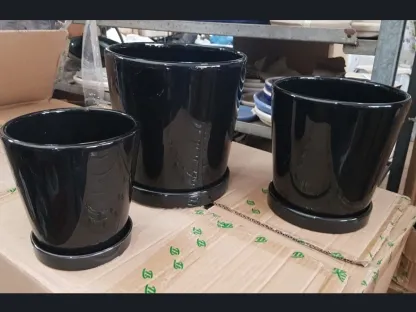 עציצי קרמיקה בצבע שחור עם תחתית