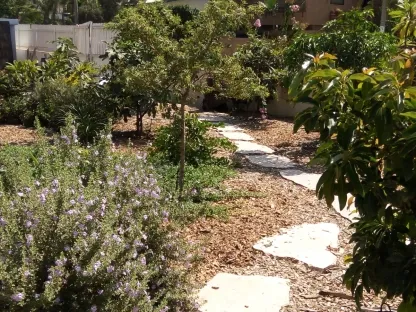 גינה שצוות המשתלה שידרג תכנן וביצע